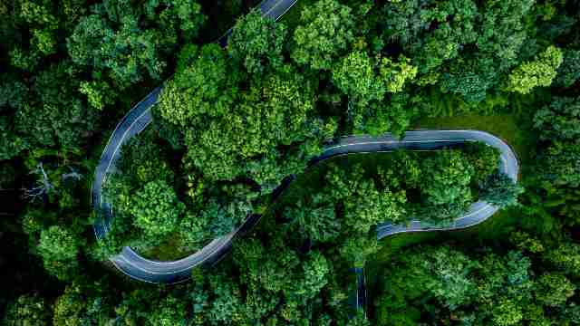 Aerial,Top,View,Road,In,Forest,With,Car,Motion,Blur.