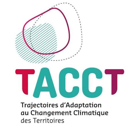 06 – Logo TACCT