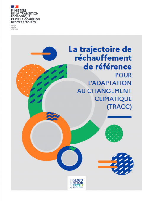 Screenshot 2023-06-01 at 09-22-53 document-reference-TRACC.pdf_